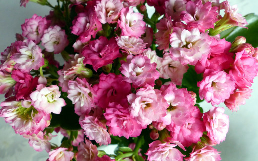 993832 (a): :2560x1600